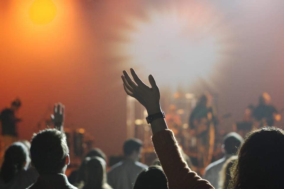 Audience at a live music performance